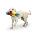 HUXLEY & KENT Dog Fetchies Caterpillar S