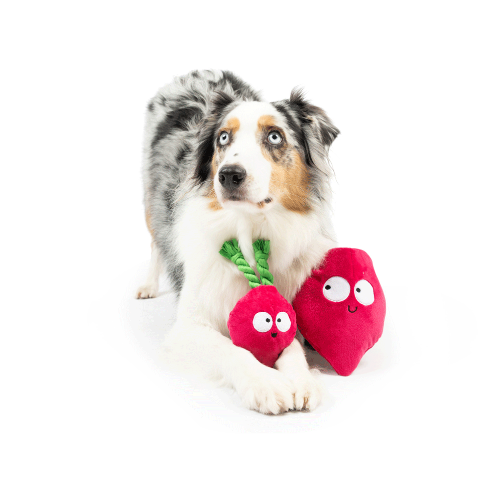 HUXLEY & KENT Dog Pop 'n Fetch Beet S