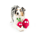 HUXLEY & KENT Dog Pop 'n Fetch Beet S