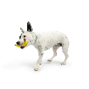 HUXLEY & KENT Dog Tiny Tuff Bruiser Banana