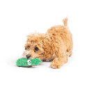HUXLEY & KENT Dog Tiny Tuff Dell Pickle