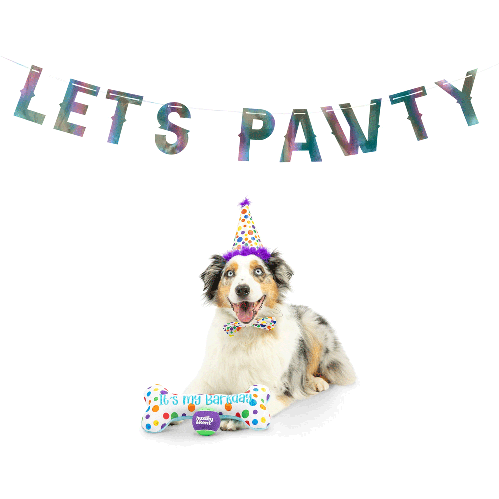 HUXLEY & KENT Dog Celebration Box Happy Barkday S