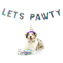 HUXLEY & KENT Dog Celebration Box Happy Barkday S