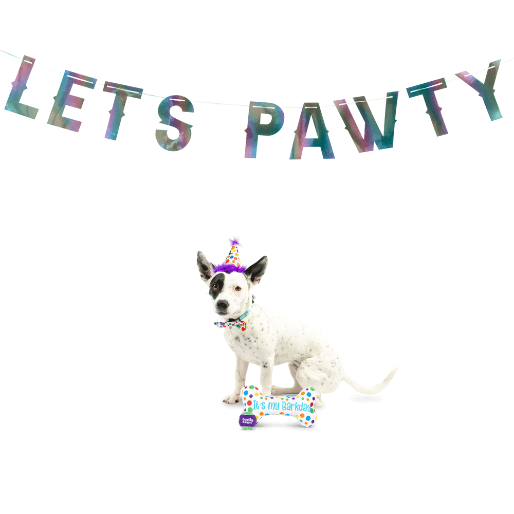 HUXLEY & KENT Dog Celebration Box Happy Barkday L