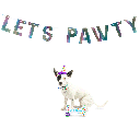 HUXLEY & KENT Dog Celebration Box Happy Barkday L
