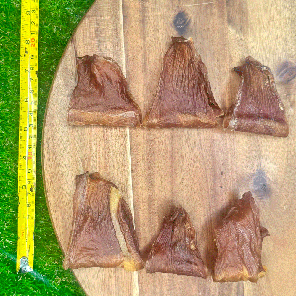 FUREVER FIERCE Rabbit Ribbon (Flank) 5ct Bag