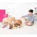 ZP01109-1.webp