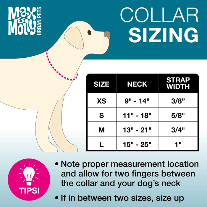 MAX&MOLLY Smart ID Dog Collar Matrix Orange M 13-21"