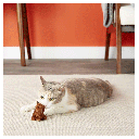 PLAY-N-SQUEAK Backyard Bunny Cat Toy
