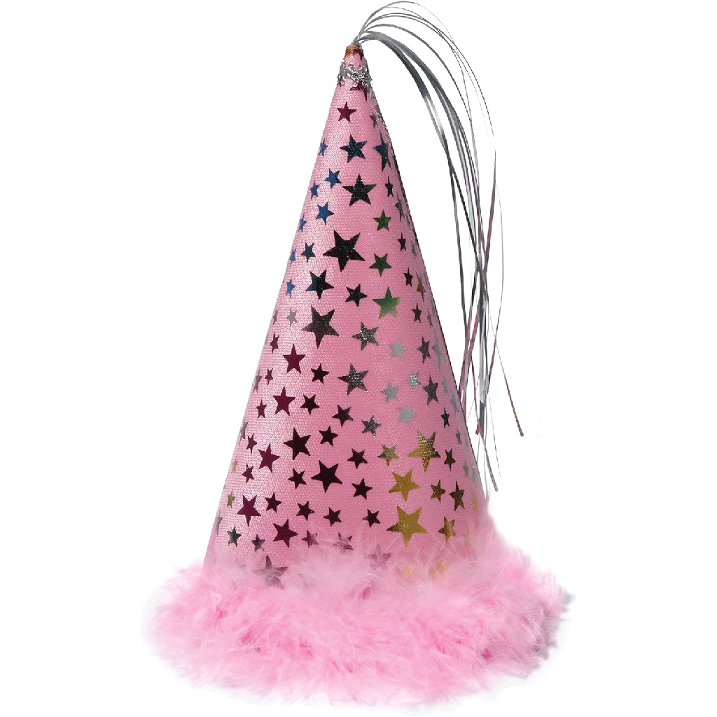 *CHARMING PETS Party Hat - Pink - L