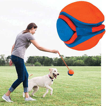 CHUCKIT Rope Fetch Dog Toy