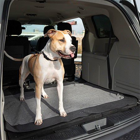 *BERGAN Auto Cargo Floor Cover Grey