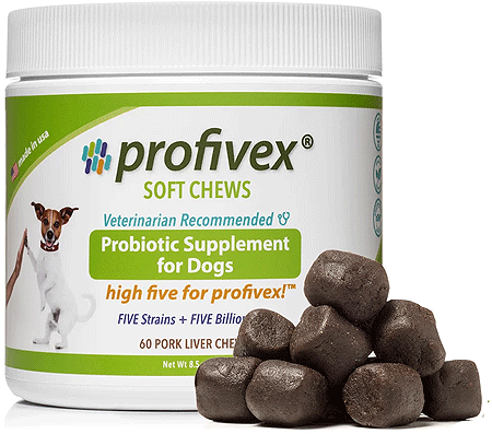 *VETNIQUE Profivex Probiotic Treat Liver 60ct
