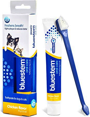 BLUESTEM Toothpaste/Toothbrush Chicken 2.5oz