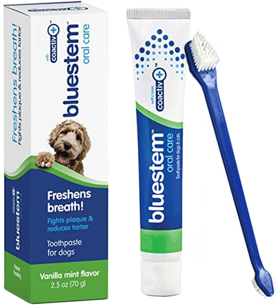BLUESTEM Toothpaste/Toothbrush Vanilla Mint 2.5oz