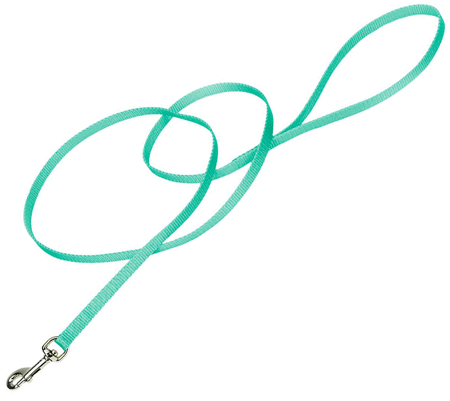*COASTAL Nylon Lead 4'x3/8 Teal