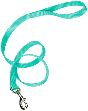 *COASTAL Nylon Lead 4'x3/4 Teal