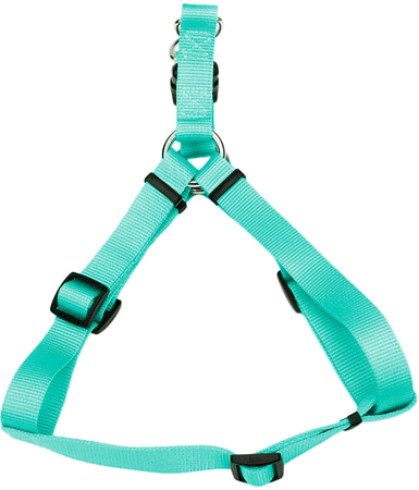 COASTAL Comfort Wrap Harness 20-30x3/4 Teal