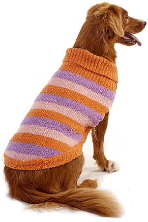 *FASHION PET Lookin' Good Stripe Sweater Orange S