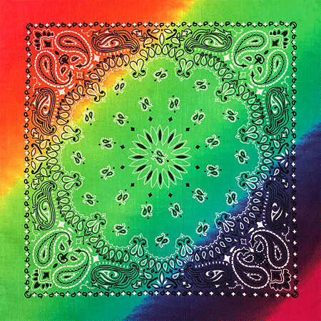 *BANDANNA Paisley Rainbow 12pk