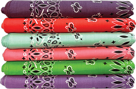 BANDANNA Paisley Asst Kitchen Sink 12pk