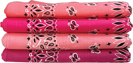 BANDANNA Paisley Asst Think Pink 12pk