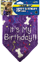 *PETSPORT Happy Birthday Bandana