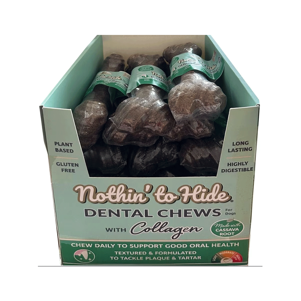 NOTHIN' TO HIDE Dental Bones 7" 13pc Box