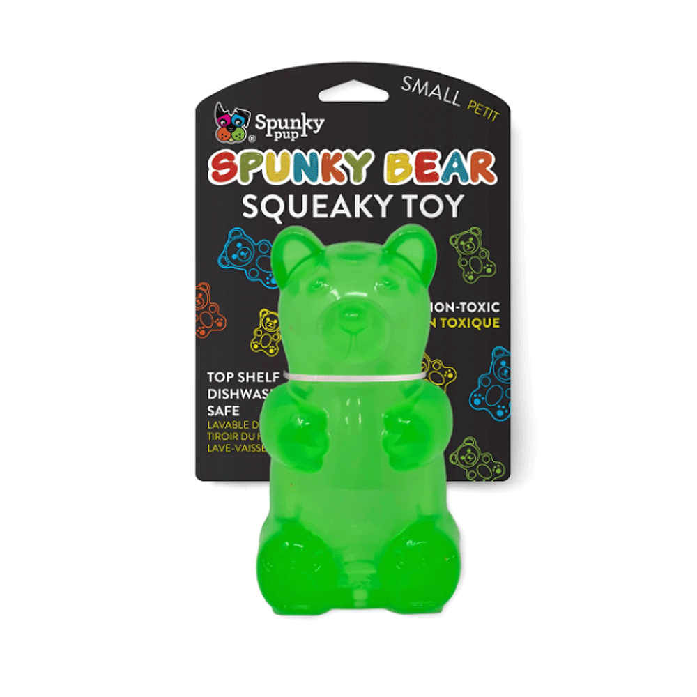 *SPUNKY PUP Spunky Bear Squeaky Toy S