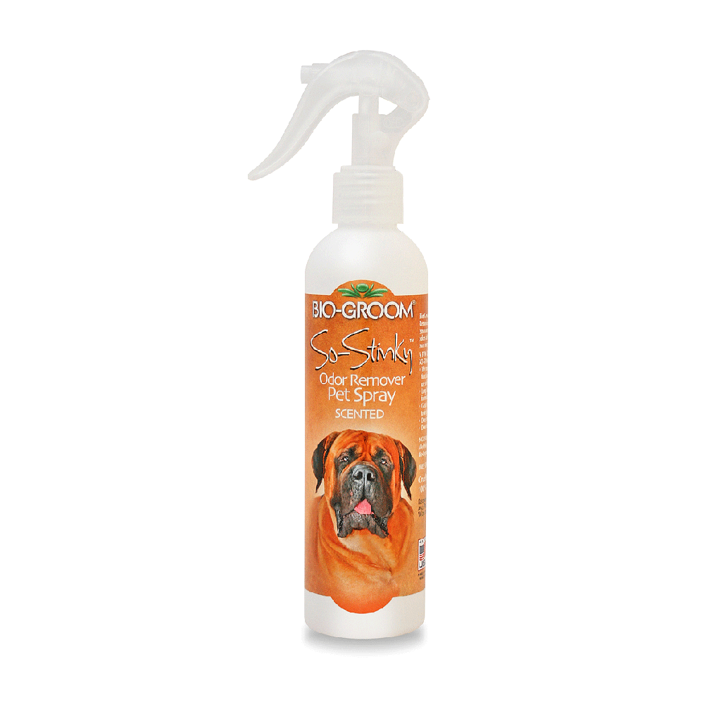 BIO-GROOM So-Stinky Scented 8oz