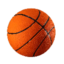 PETSPORT NaturFlex Basketball 5"