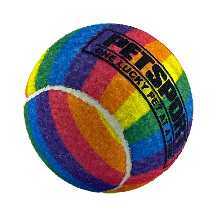 PETSPORT Rainbow Squeak Ball 4" 1pk