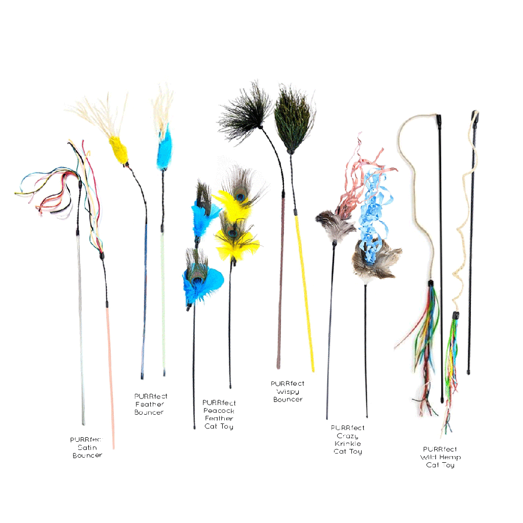 VEE ENTERPRISES Essentials Assorted 12ct