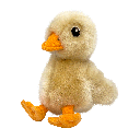 KONG Toughz Duck M