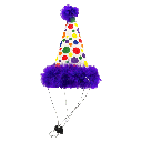 HUXLEY & KENT Party Hat Happy Barkday L