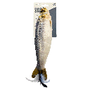 HUXLEY & KENT Cat Kicker Sardine