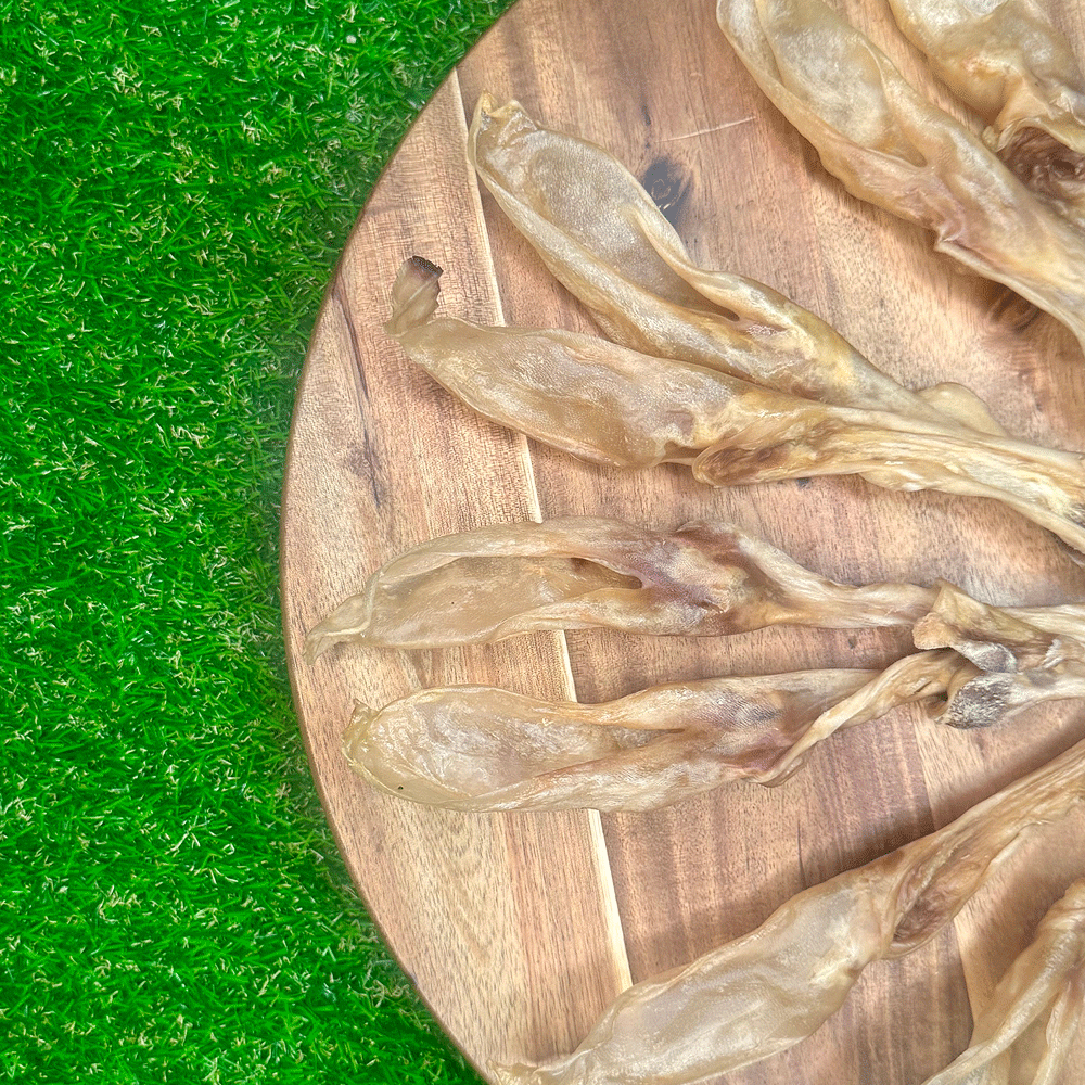 FUREVER FIERCE Furless & Attached Rabbit Ears Bulk Case 25ct