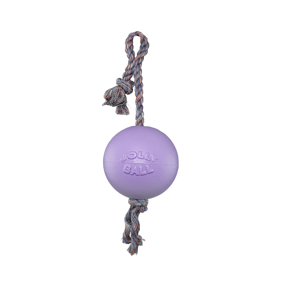 JOLLYPET Romp-n-Roll 4.5" Light Purple S