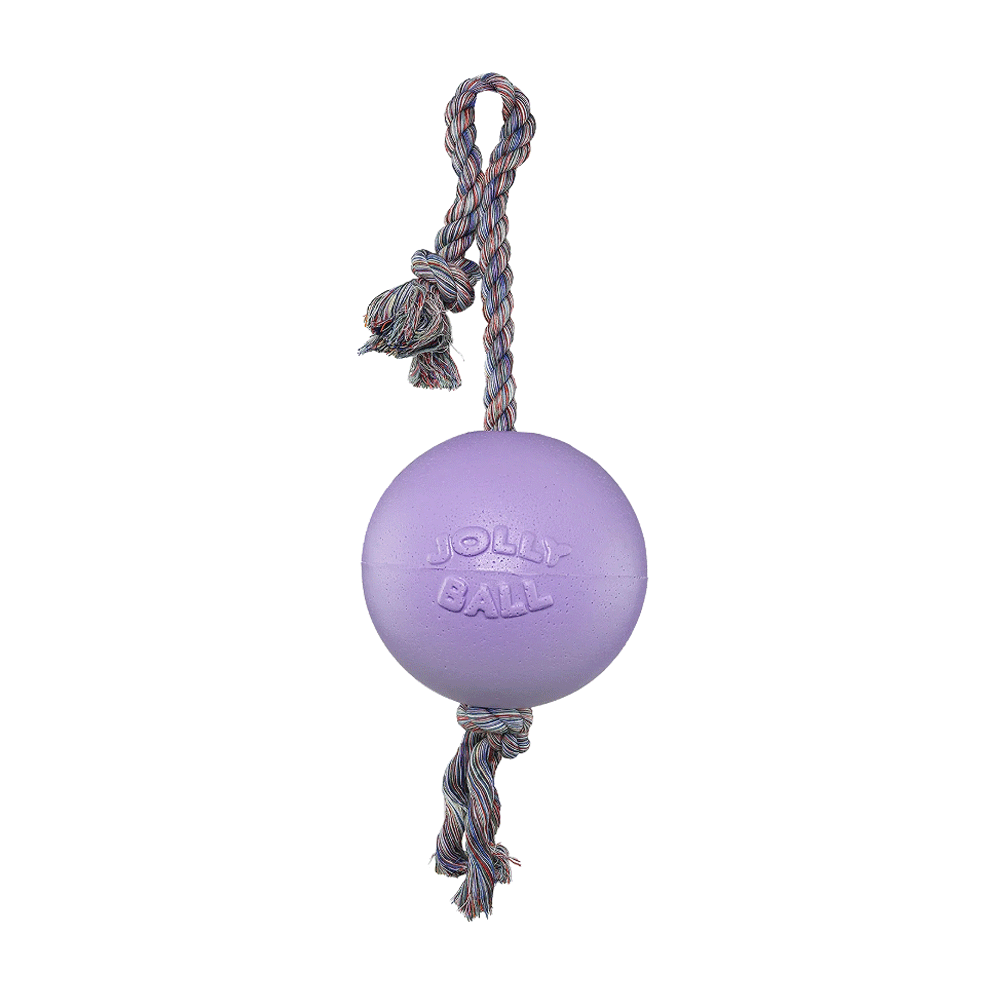 JOLLYPET Romp-n-Roll 6" Light Purple M