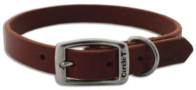 COASTAL Latigo Town Collar 1 x 24
