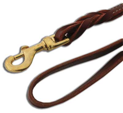 COASTAL Latigo Twisted Lead 6ft x 3/4in