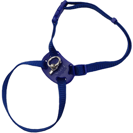 *COASTAL Size Right! Cat Harness 12-18x3/8 Blue
