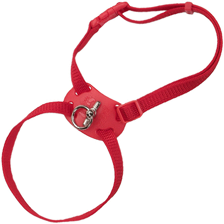 *COASTAL Size Right! Cat Harness 12-18x3/8 Red