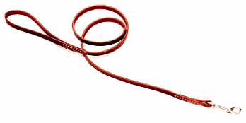 COASTAL Circle-T Latigo Lead 4ft x 3/8in