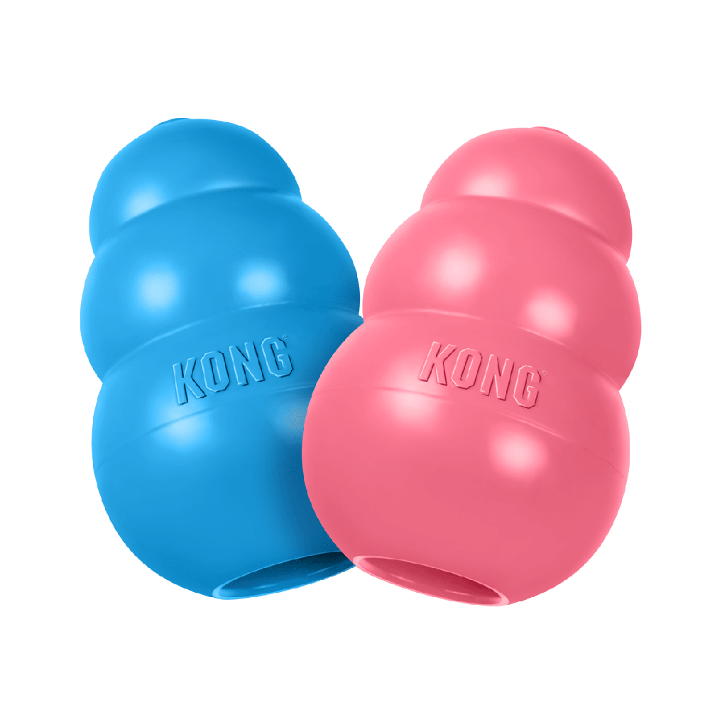 KONG Puppy S