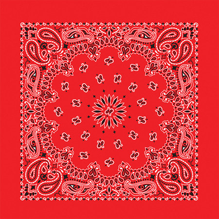 BANDANNA Paisley Red 12pk