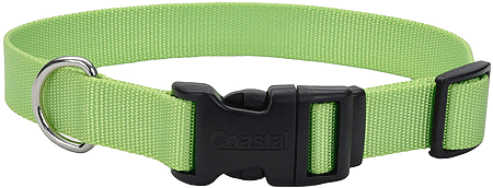 *COASTAL TUFF Adjustable Dog Collar 10-14x5/8 Lime