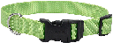 *COASTAL TUFF Adjustable Dog Collar 10-14x5/8 Lime