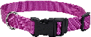 COASTAL TUFF Adjustable Dog Collar 18-26x1 Orchid