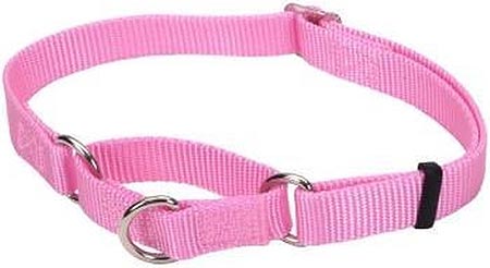 *COASTAL Adjustable No Slip Collar 14-20x3/4 Pink